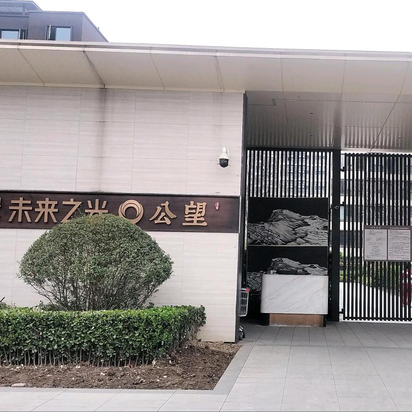 未来之光公望石韦