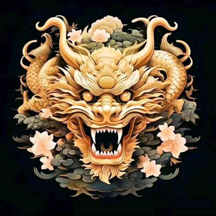 没牙龙哥