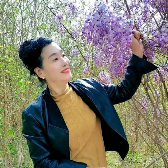 60后山东虎（拒闲聊）