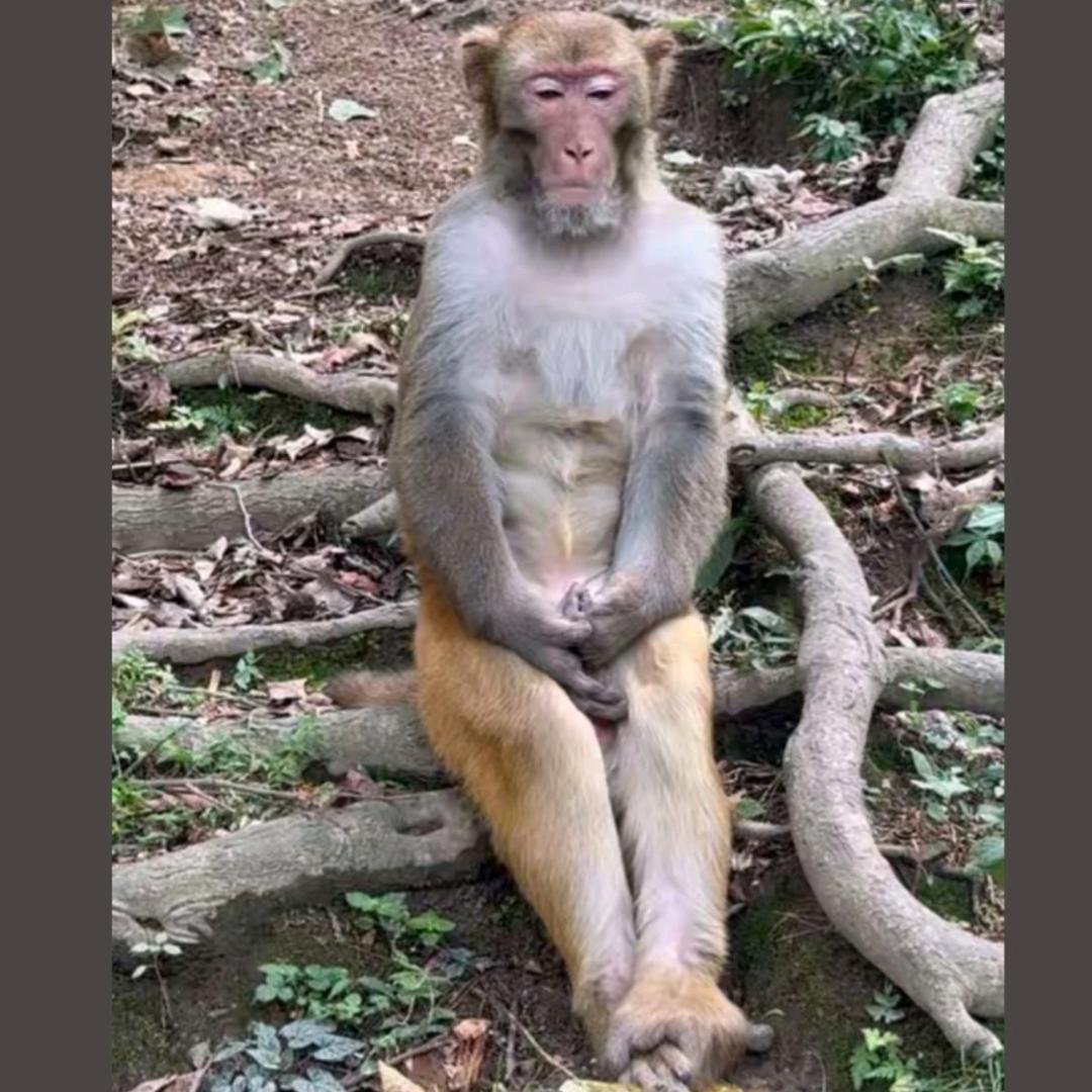 挖友