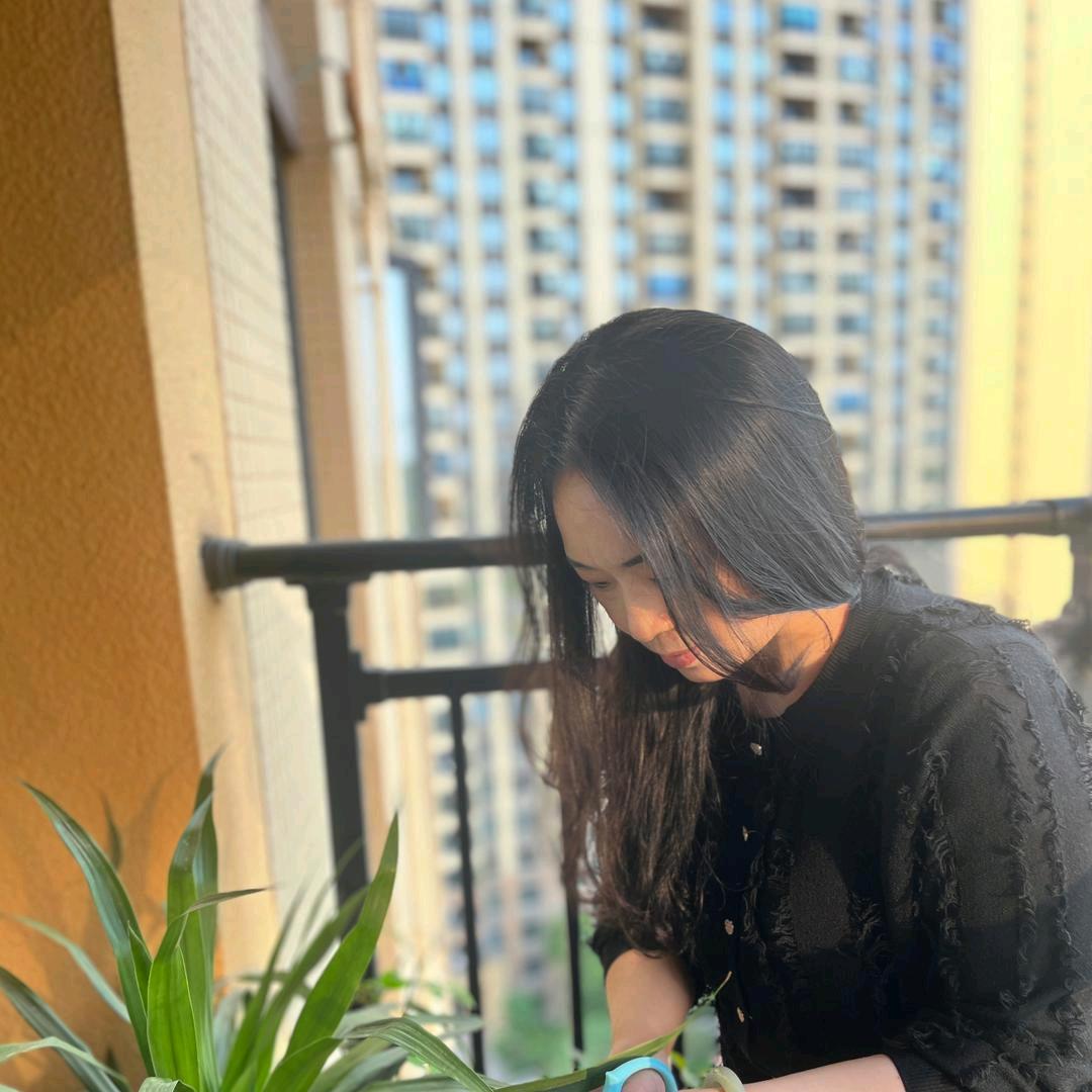 十一月
