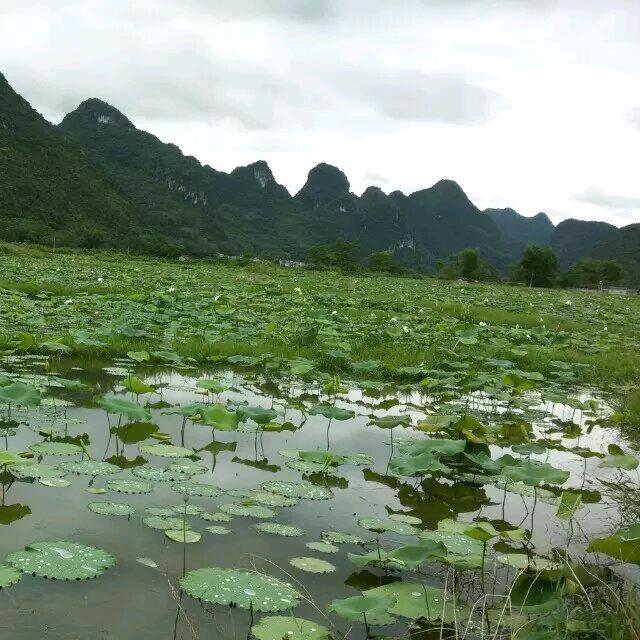 蓝天🔥