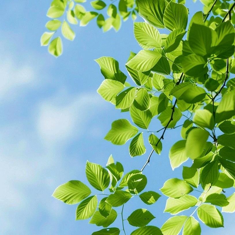 ✊多财(*^@^*)多亿👏