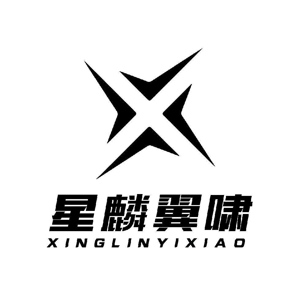星麟翼啸体育用品店