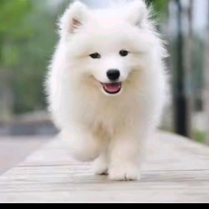 訫ﻬᐝ宝ಠ萌ಠ娃