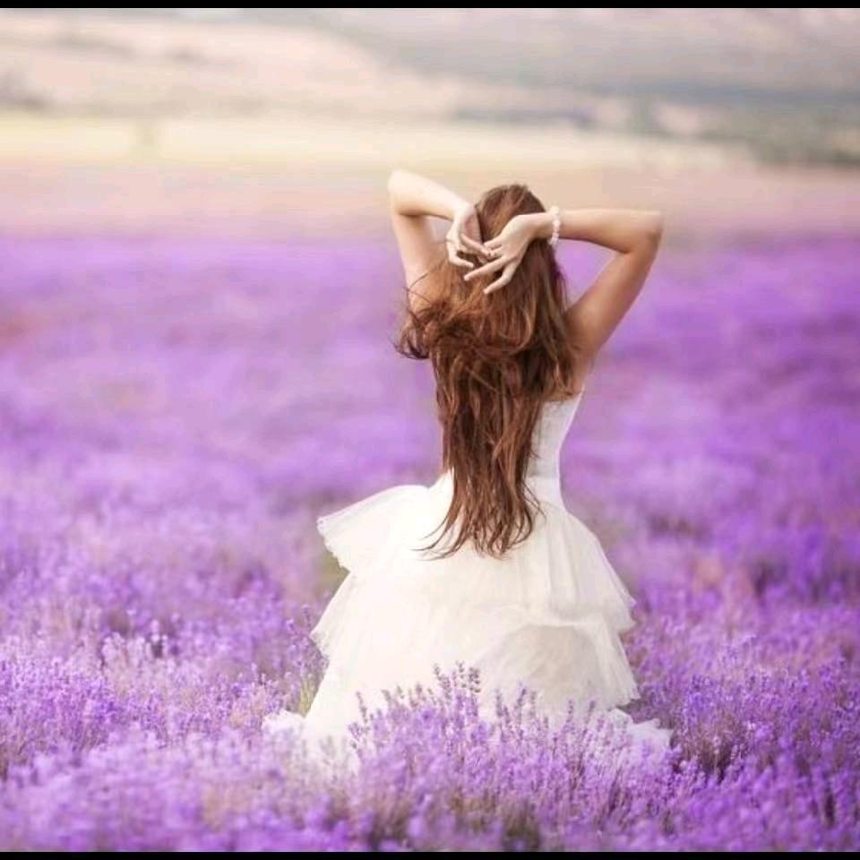 🦋把心归零🦋🕊