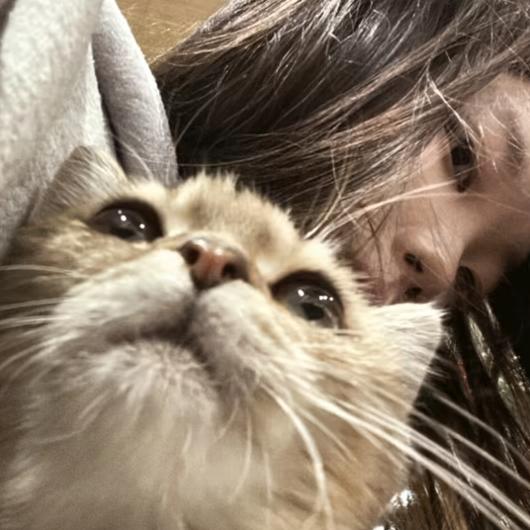 睡够10h就原谅世界