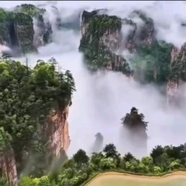 了了心客栈(森林公园北门)