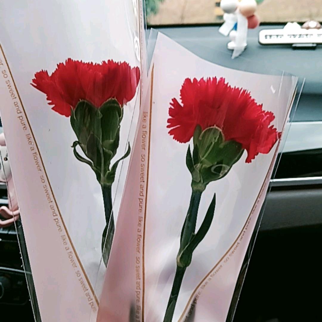 平凡💋的生活