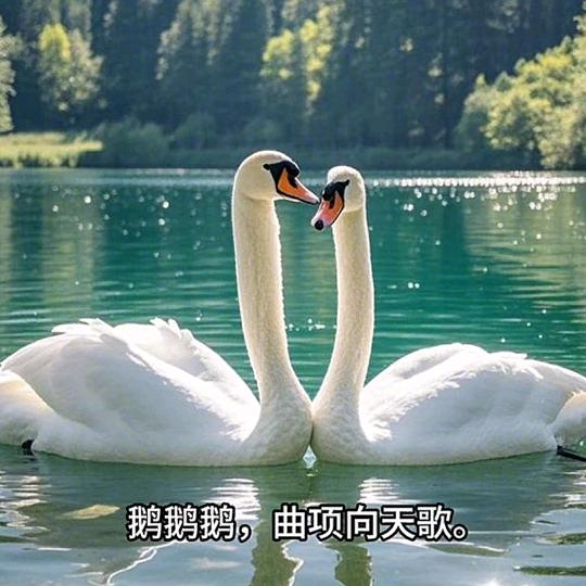 遵义李鹅儿（卤鹅）