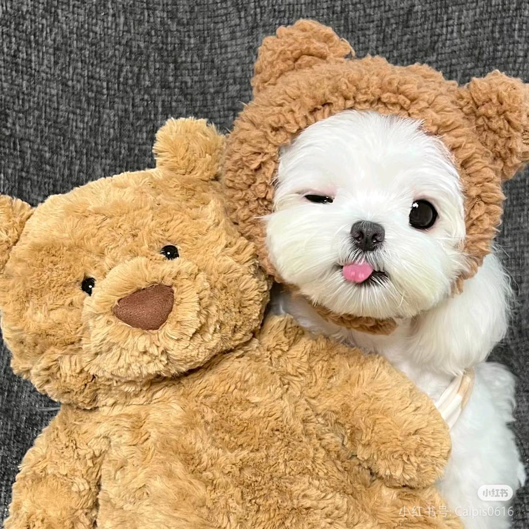 两眼一睁就是消