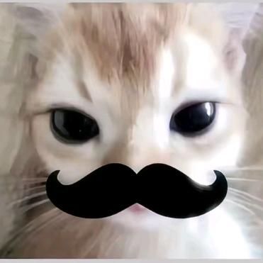 小孩哥不是小孩