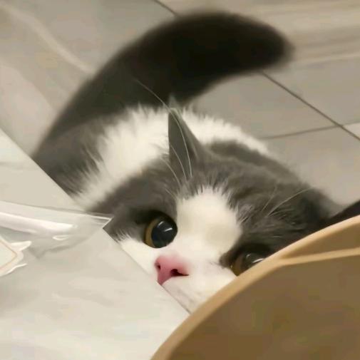 Mzyy