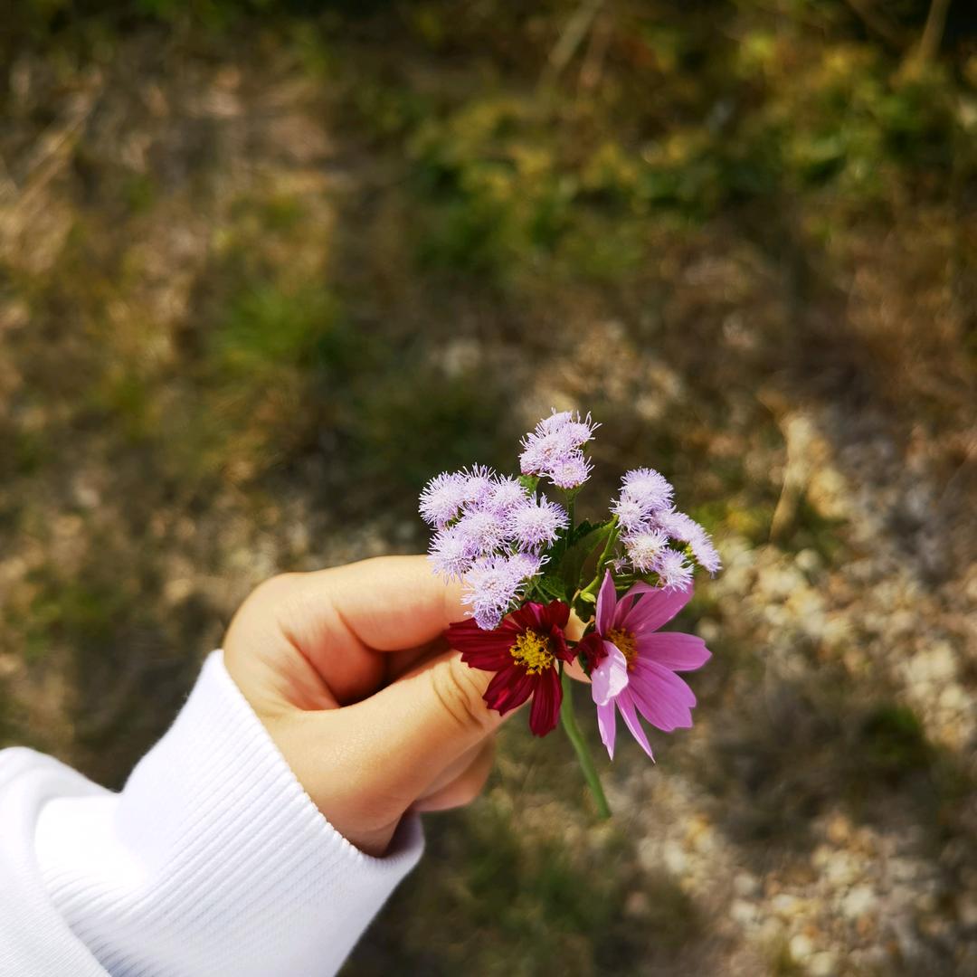 find pretty you-～-