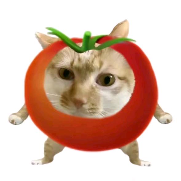欧吧！