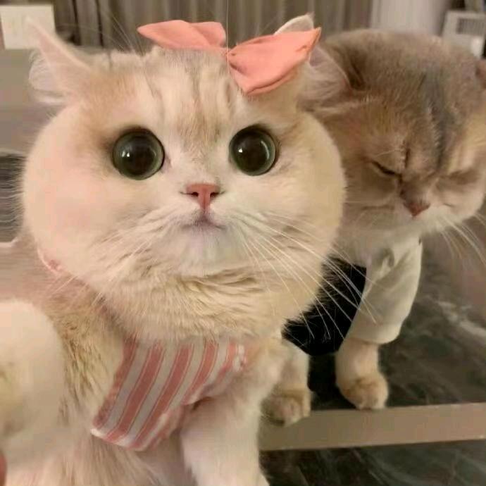 早儿