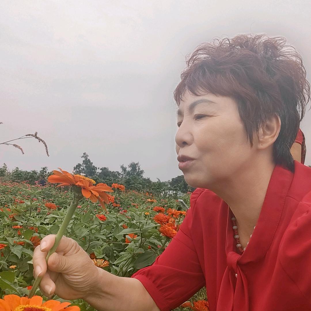 杨姐