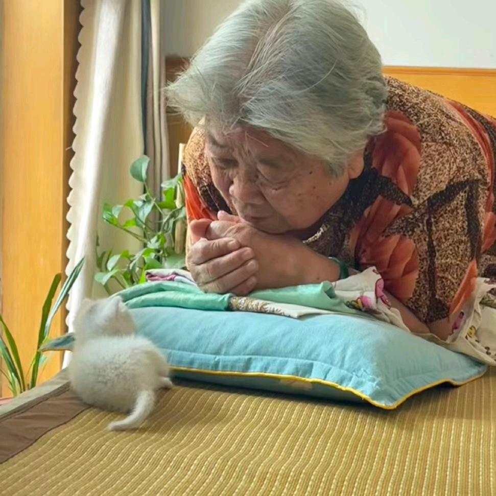 用户1177