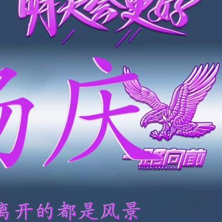 杨庆