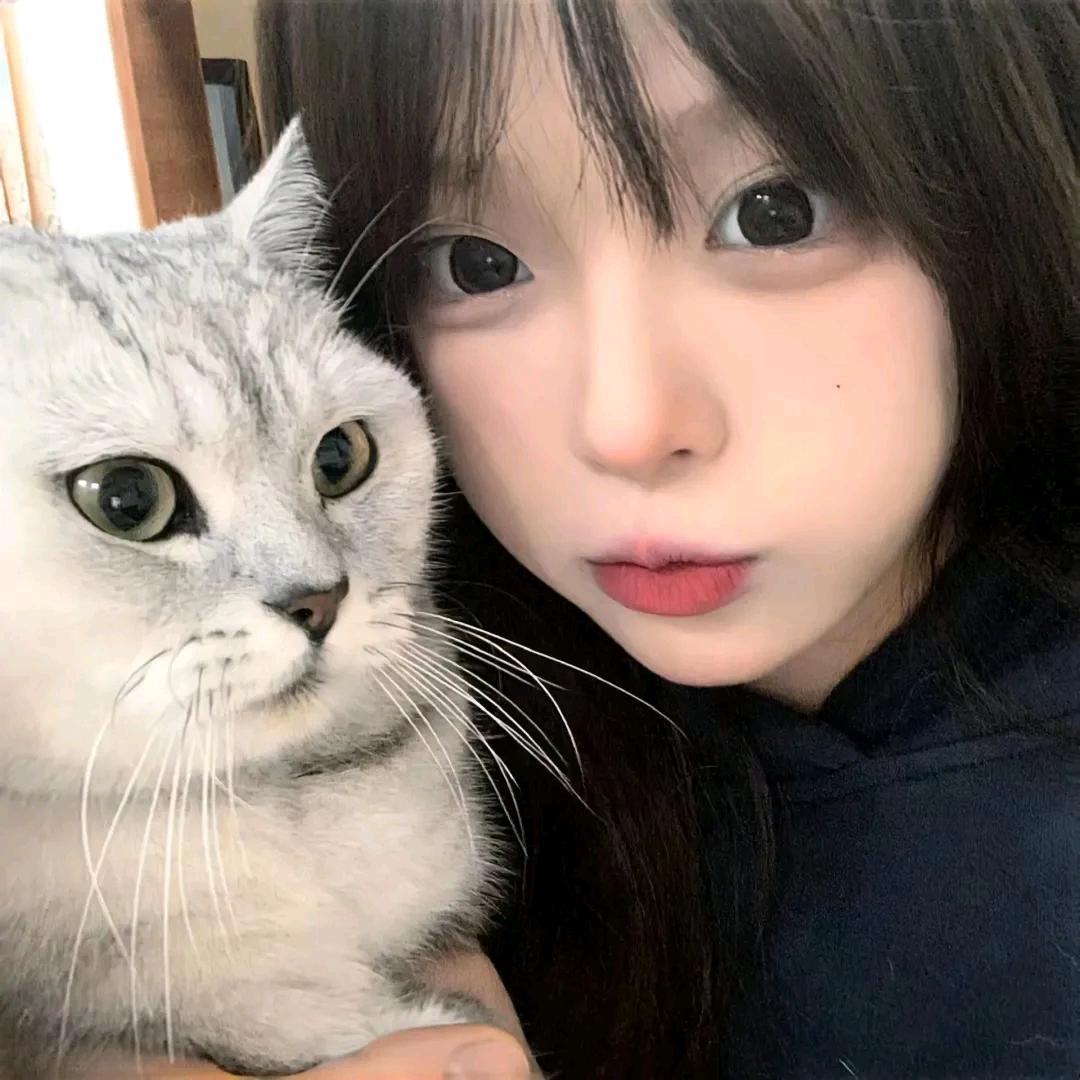 1mo汉堡包