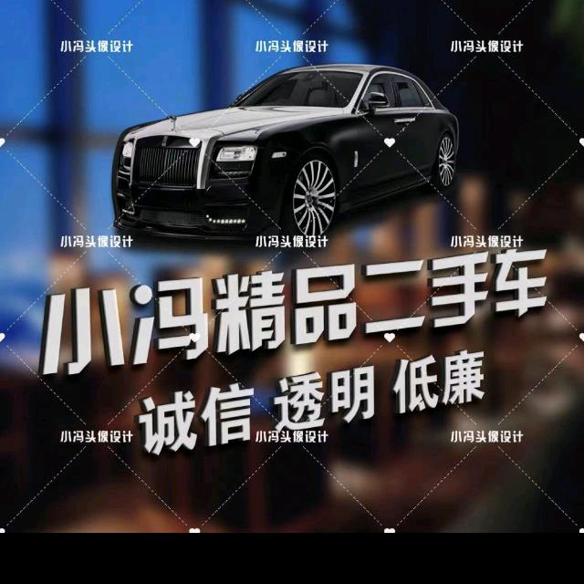 滨州鼎盛严选二手车有限公司
