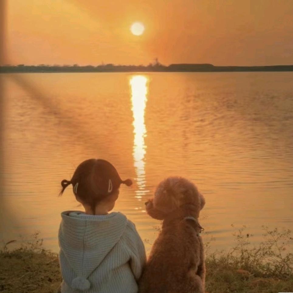 ❤️小小