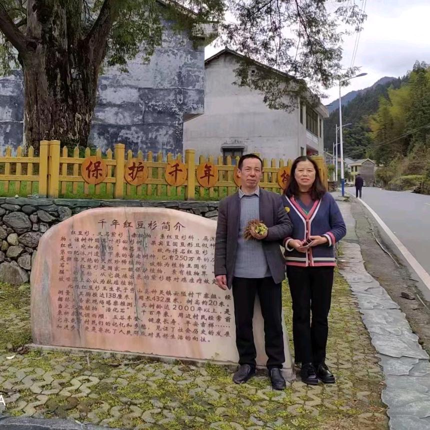 杨家姑娘，田家媳妇。