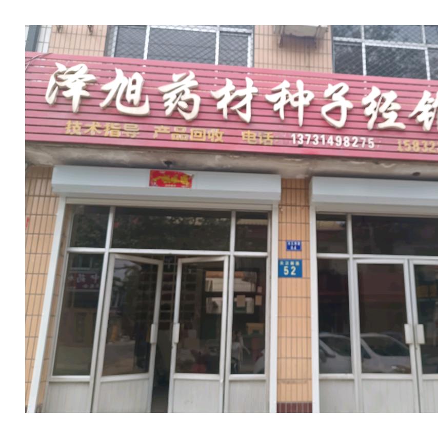 安国泽旭中药材种业——王蕾