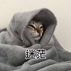 老公（咔咪SAMA）
