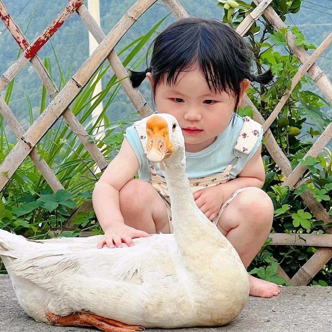 梦 里