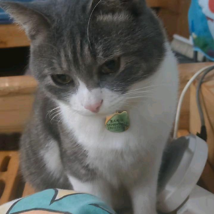 独爱你