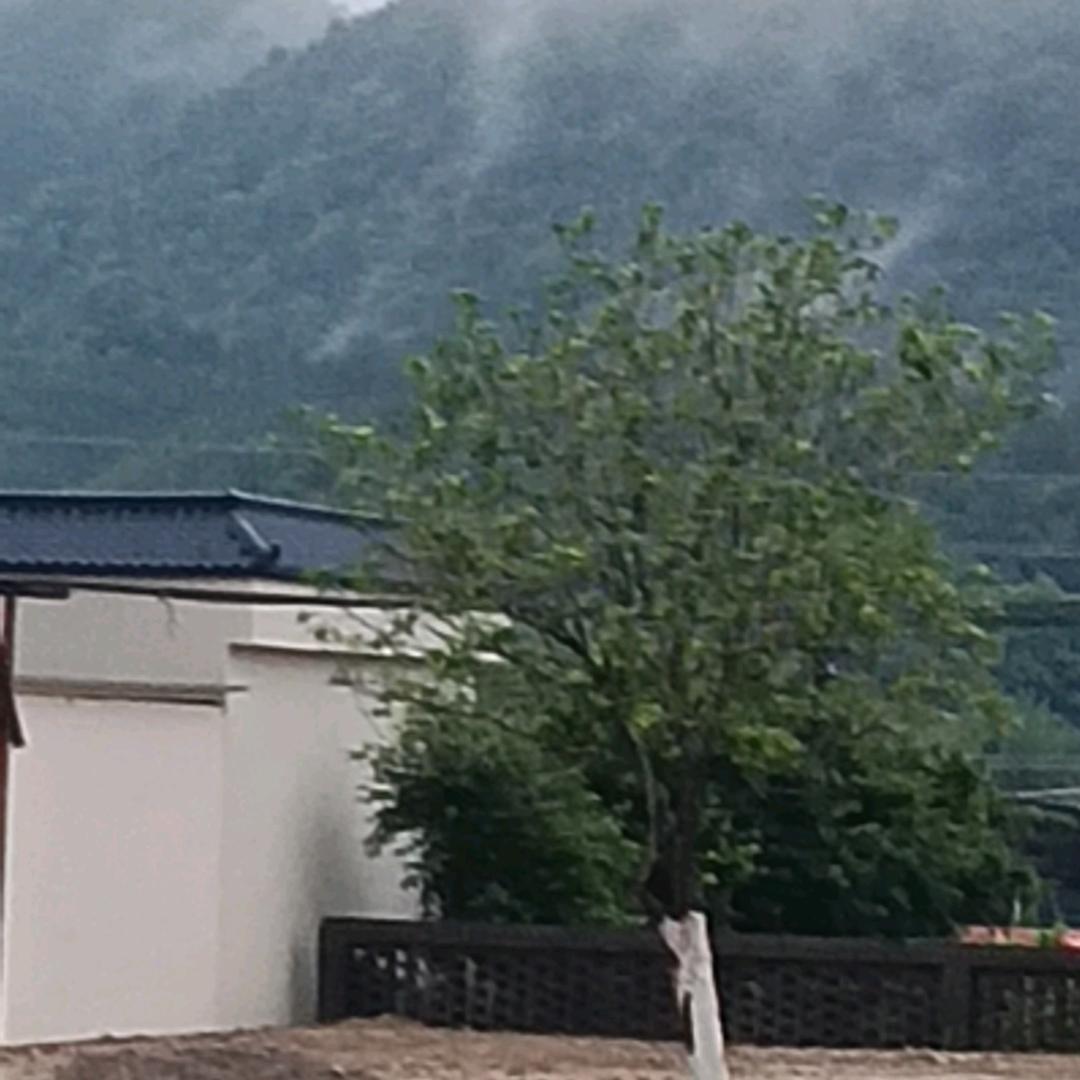 浅笑灬忧伤