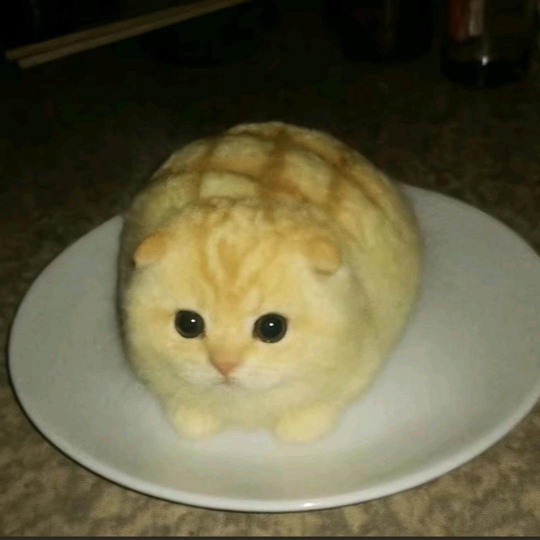 拂晓不辍