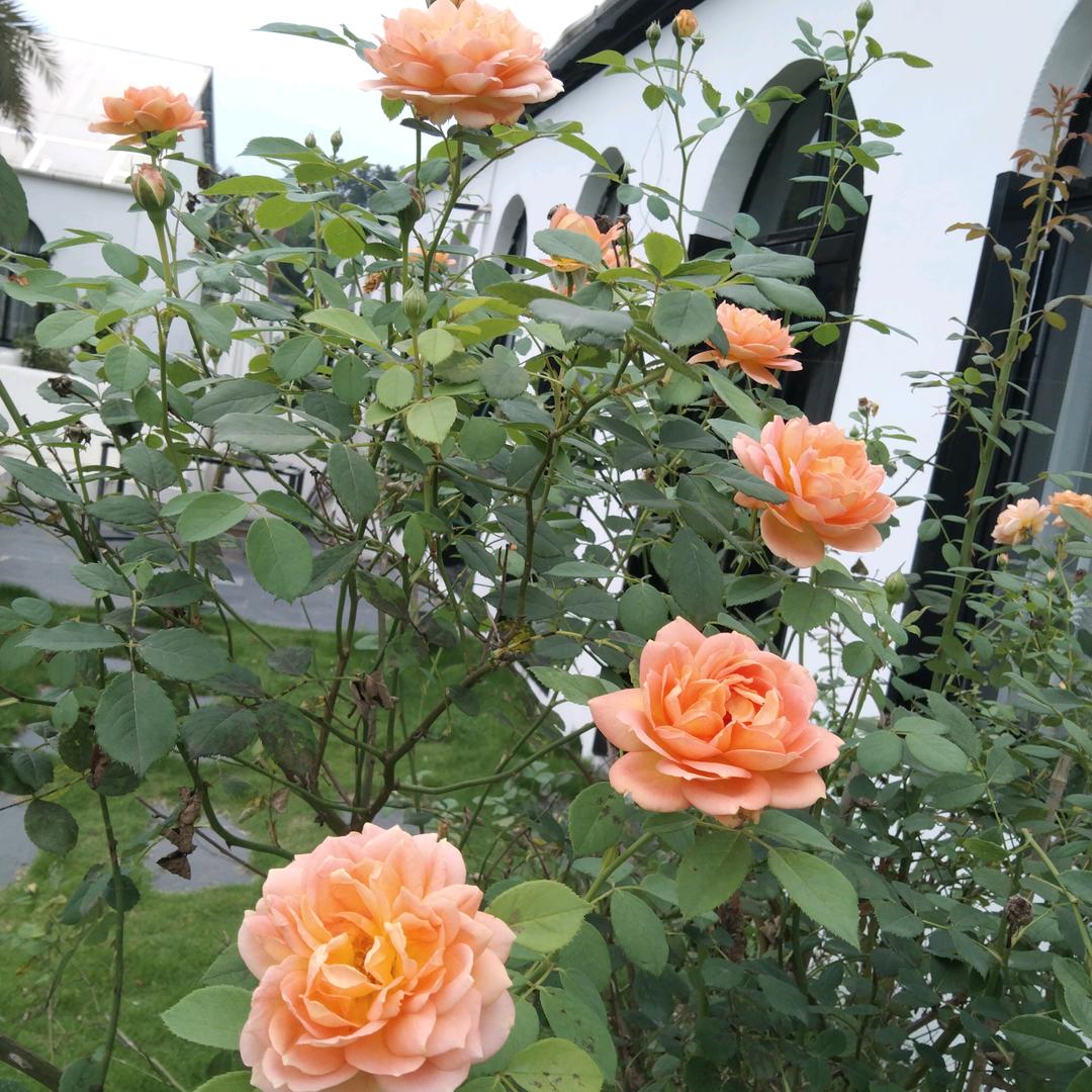 向幸福出发♥(｡￫v￩｡)♥