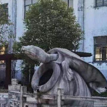 ，，阳光