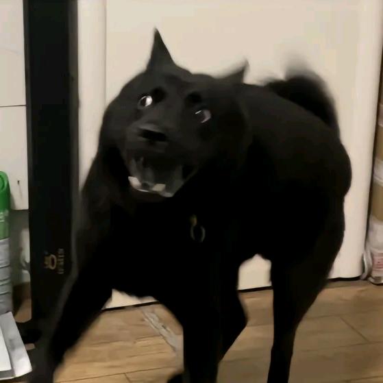 卡冈图雅
