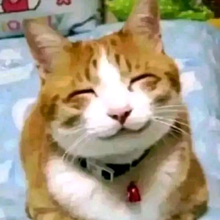 时时试试睡睡