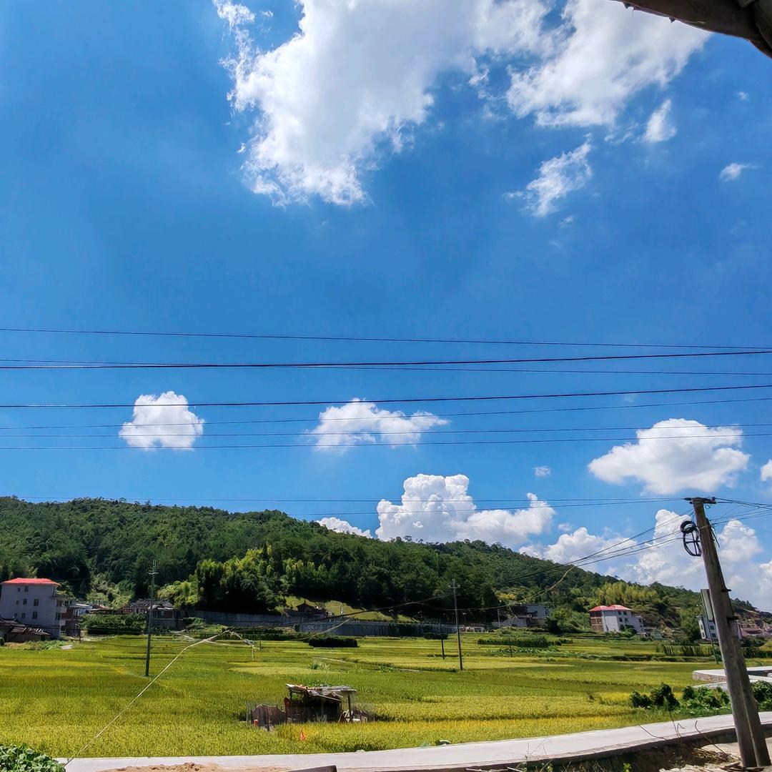 yinghang百货