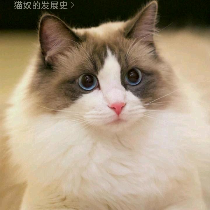 小帅😊