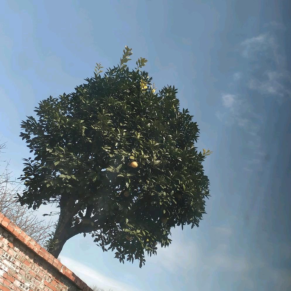 …夏天