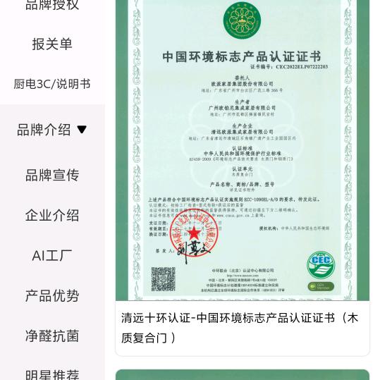 河北二十年专业高端厨电专家
