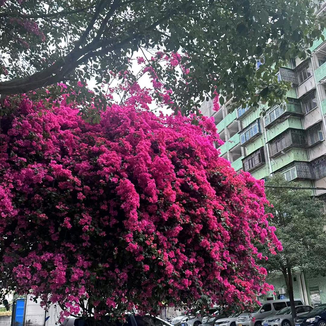晨晓好物分享