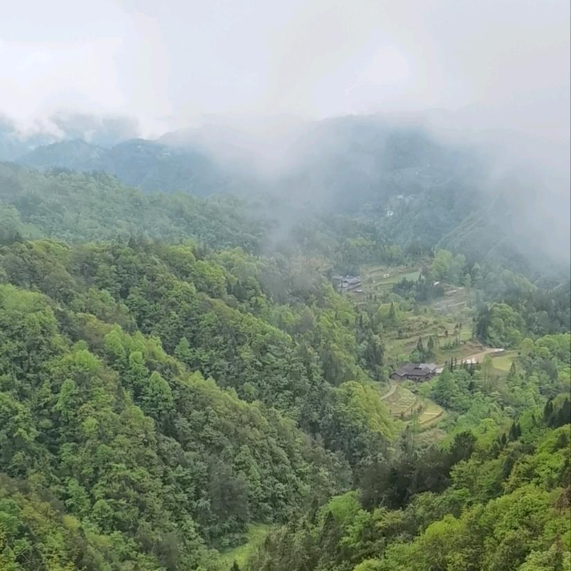 朴实的农村生活🌱