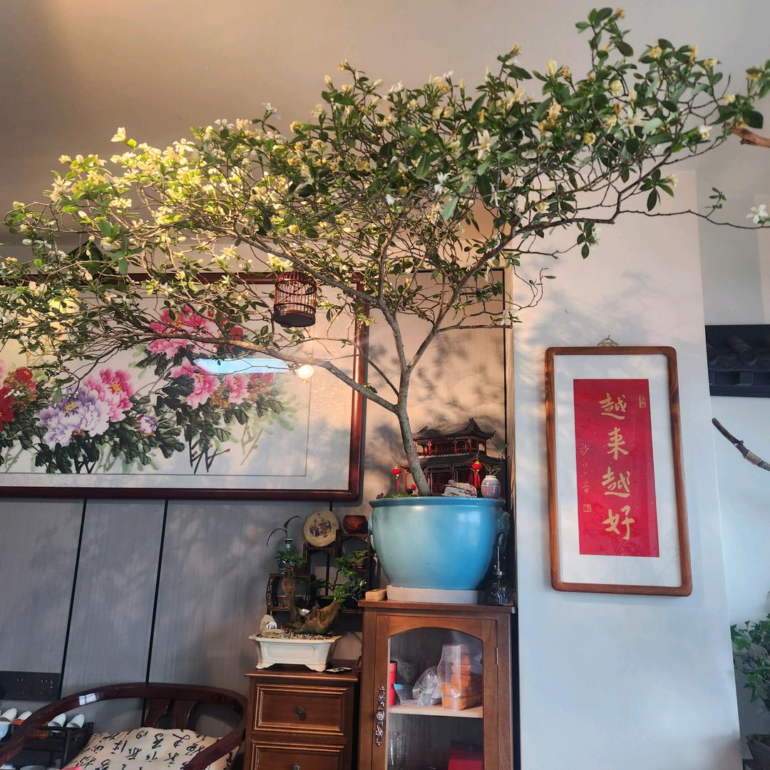 雅笏民宿