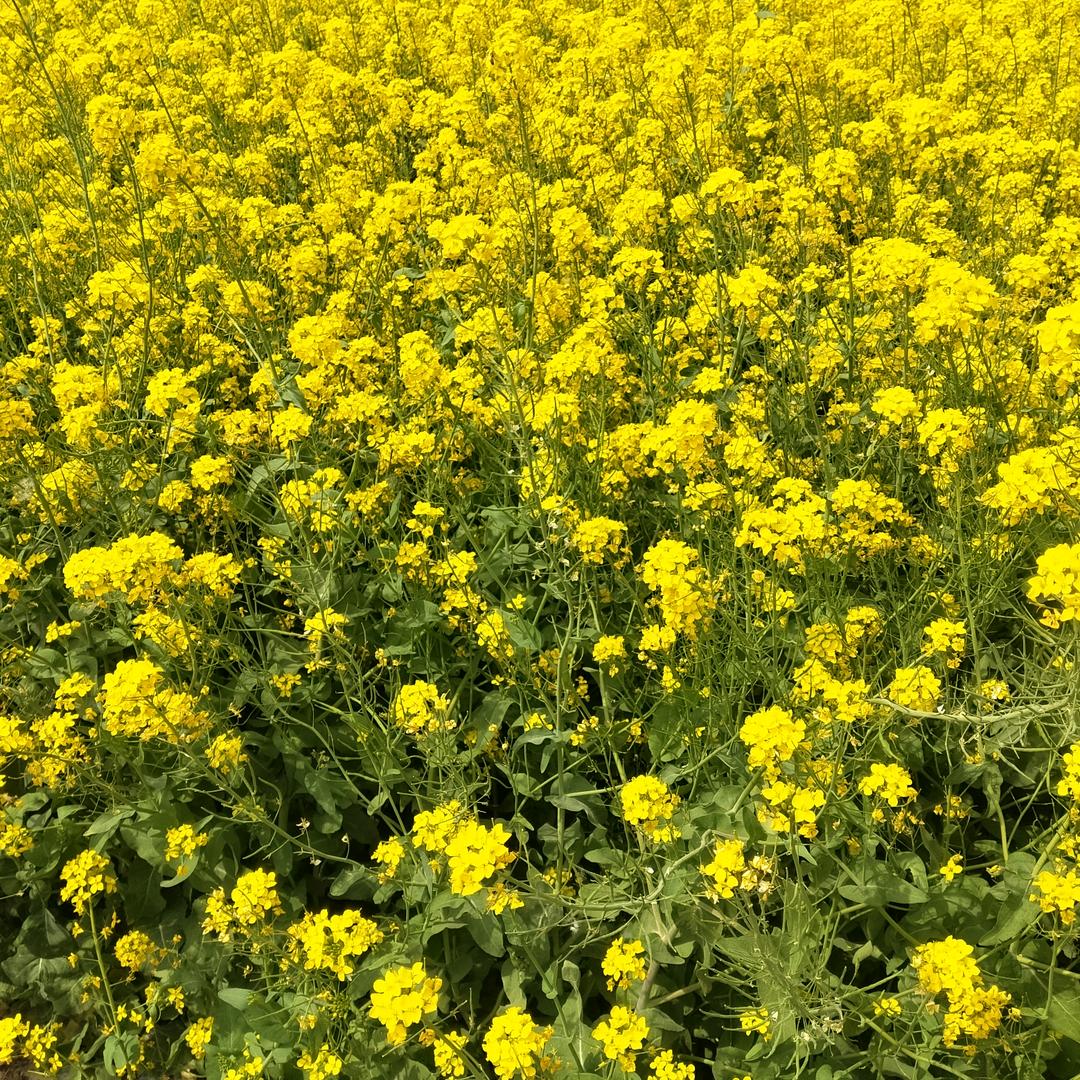 快乐星球小帅哥