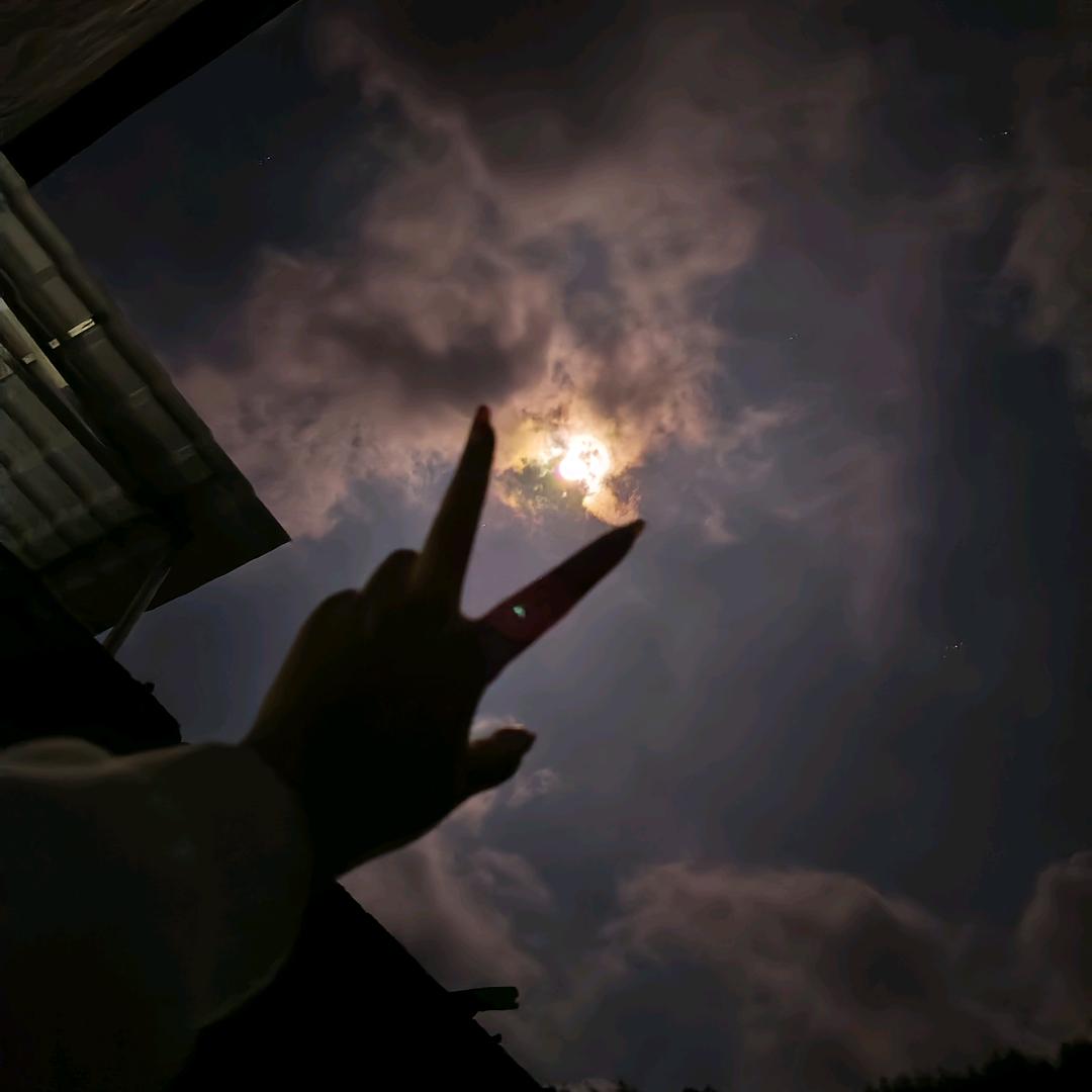 许星辰.∗̥❀💙