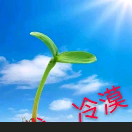 阳光