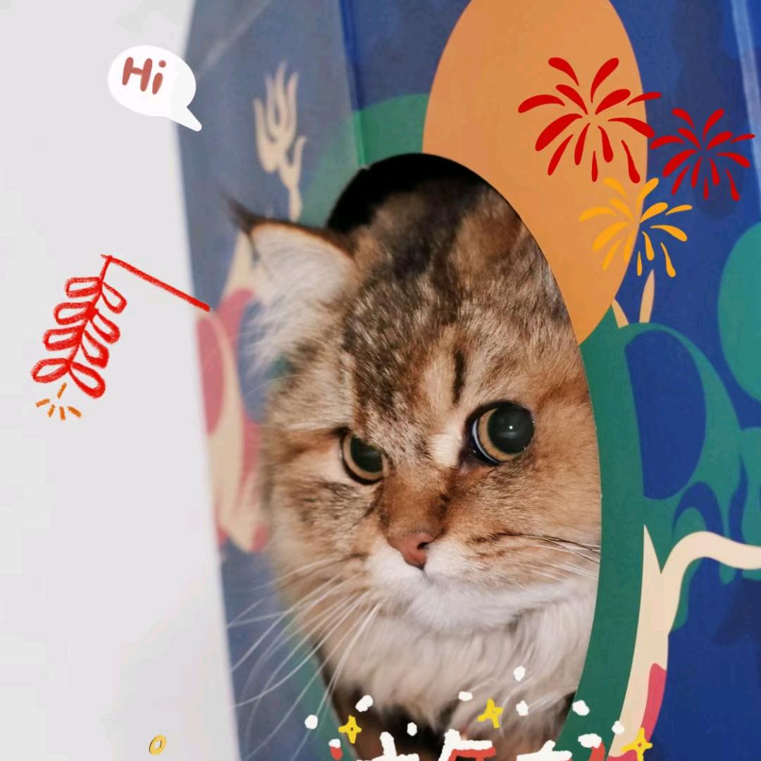 （小菜）