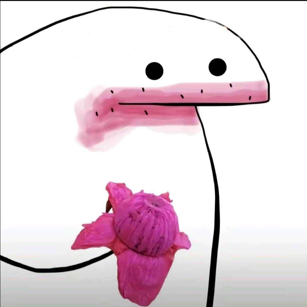 福萝卜