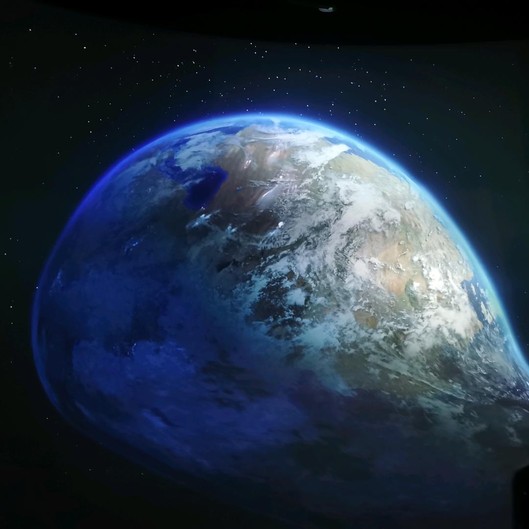 永不放弃的小鱼